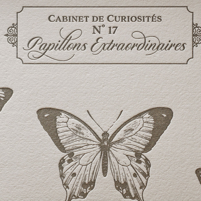 Affiche Letterpress Papillons Extraordinaires