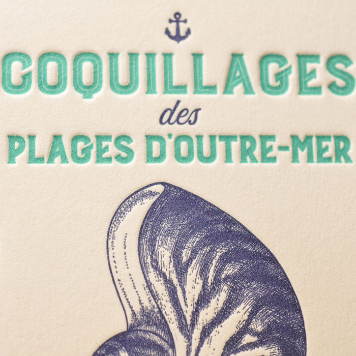 Carte Letterpress Coquillages des Plages d'Outre-Mer