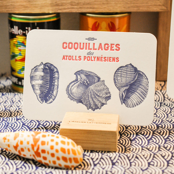 Letterpress Card Shells from Polynesian Atolls