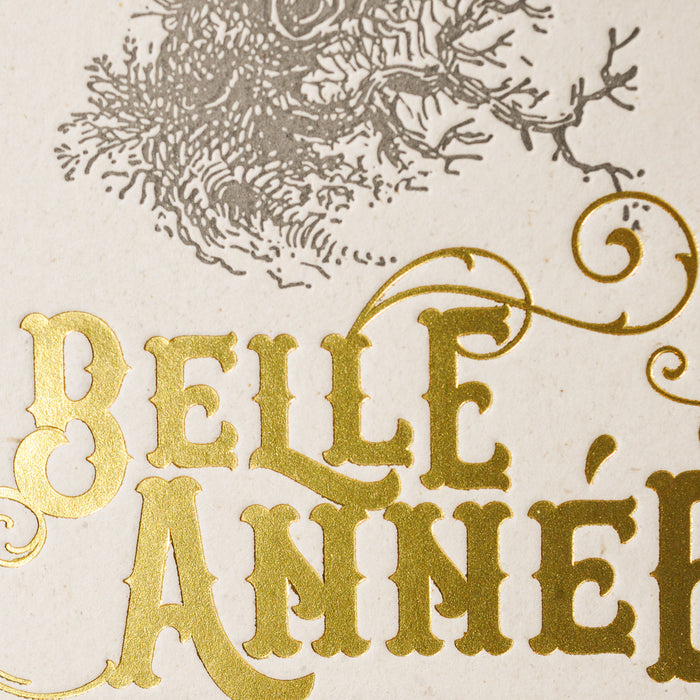 Carte de voeux Letterpress Belle Année Mésange (avec enveloppe)