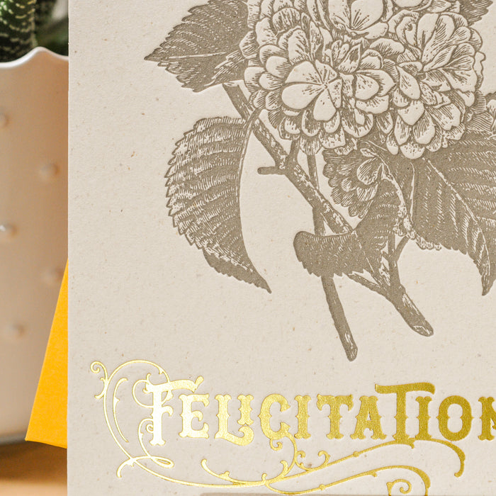 Letterpress Greeting Card Congratulations Hydrangea (with envelope)