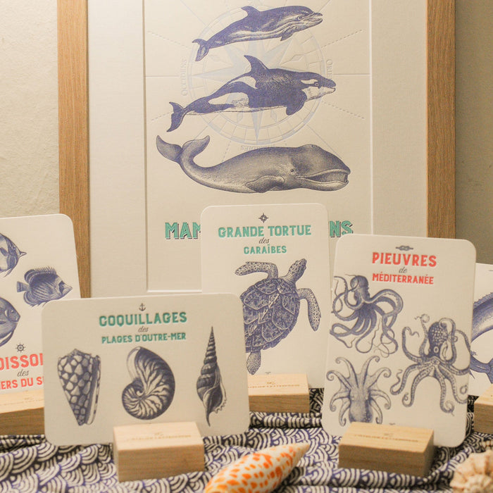  Letterpress Card Crustaceans from the Breton coasts