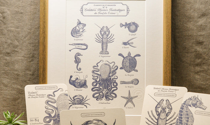 Cabinet de Curiosités