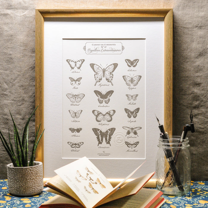 Letterpress Art Print Extraordinary Butterflies