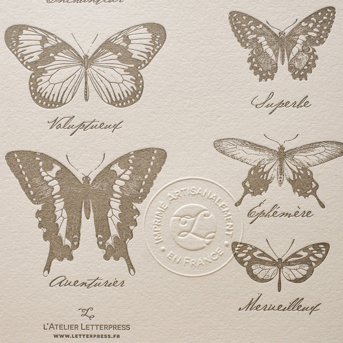 Letterpress Art Print Extraordinary Butterflies