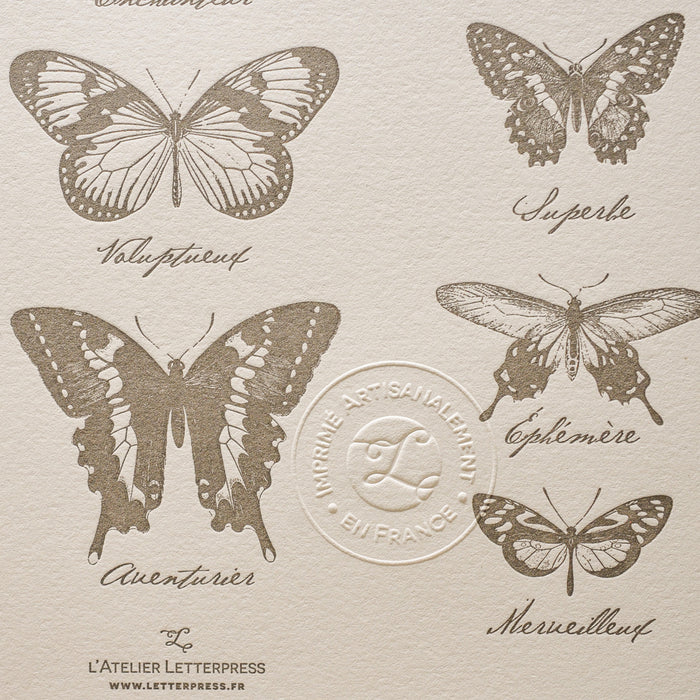 Affiche Letterpress Papillons Extraordinaires