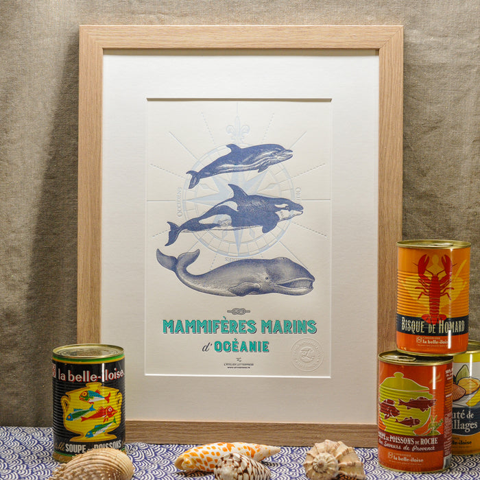 Letterpress Art Print Marine Mammals from Oceania