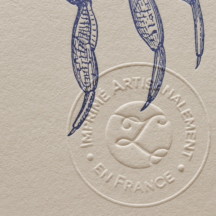 Letterpress Art Print Crustaceans from the Breton Coasts