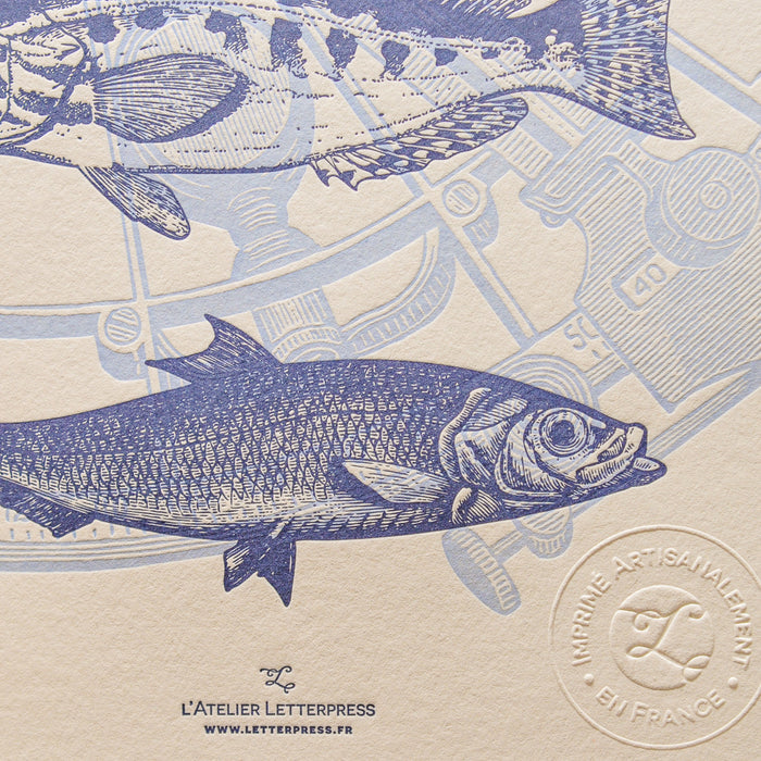 Letterpress Art Print Fish from Patagonia