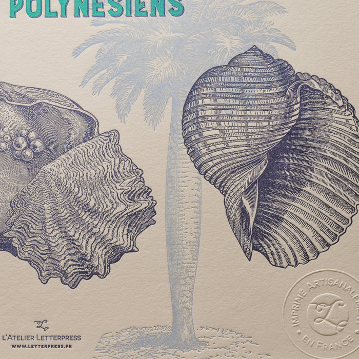 Letterpress Art Print Shells from Polynesian Atolls - Turquoise