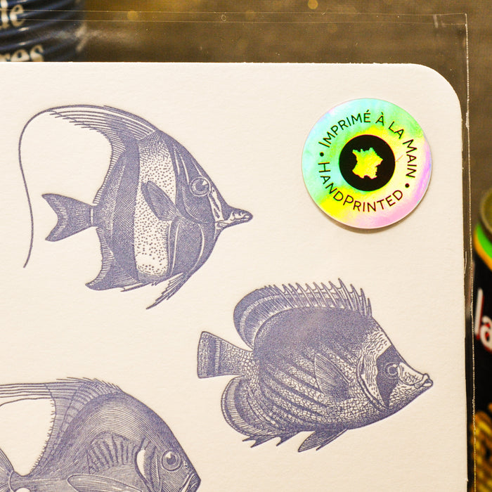 Carte Letterpress Poissons des Mers du Sud