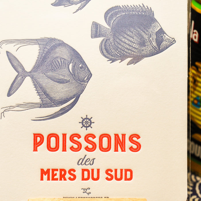 Carte Letterpress Poissons des Mers du Sud