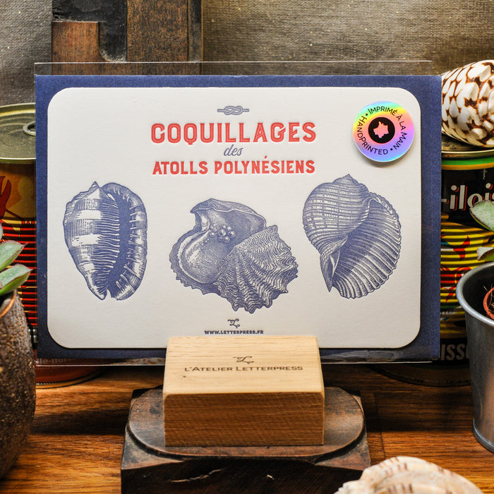 Letterpress Card Shells from Polynesian Atolls (with envelope)