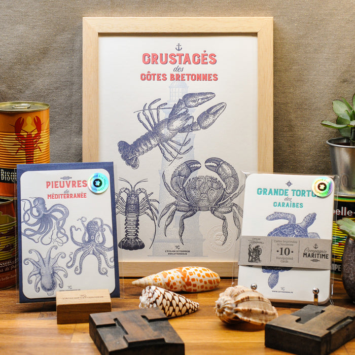 Letterpress Card Octopuses from the Mediterranean Sea (with envelope)