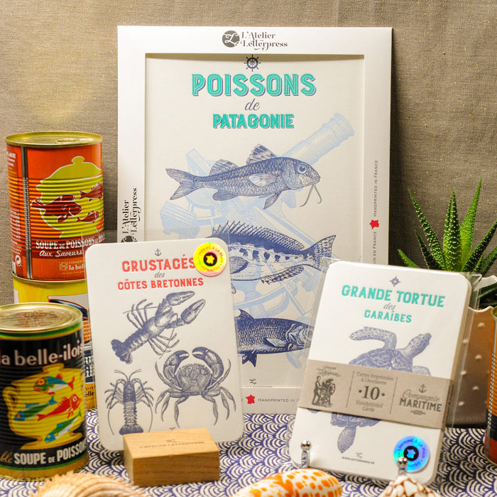  Letterpress Card Crustaceans from the Breton coasts