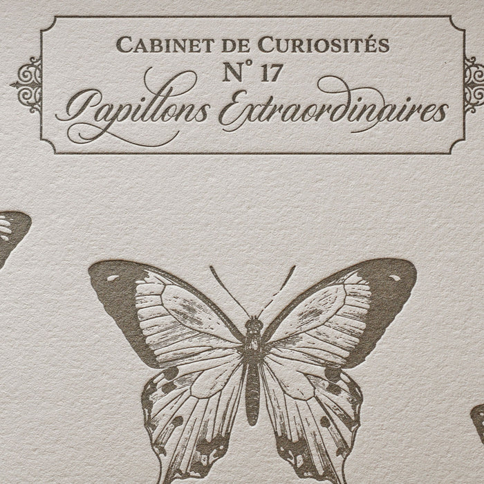 Letterpress Art Print Extraordinary Butterflies