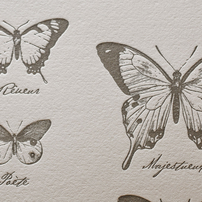 Letterpress Art Print Extraordinary Butterflies