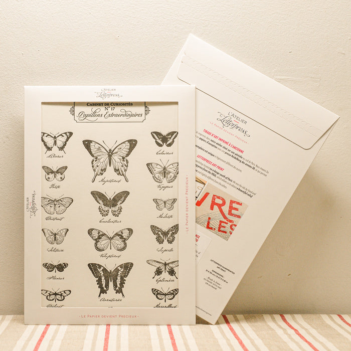 Letterpress Art Print Extraordinary Butterflies