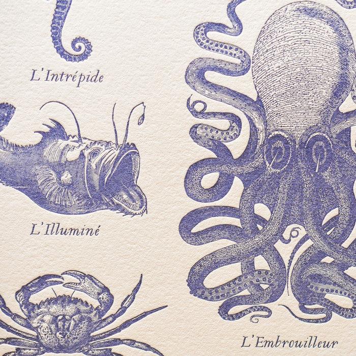 Letterpress Art print Fantastic Marine Creatures