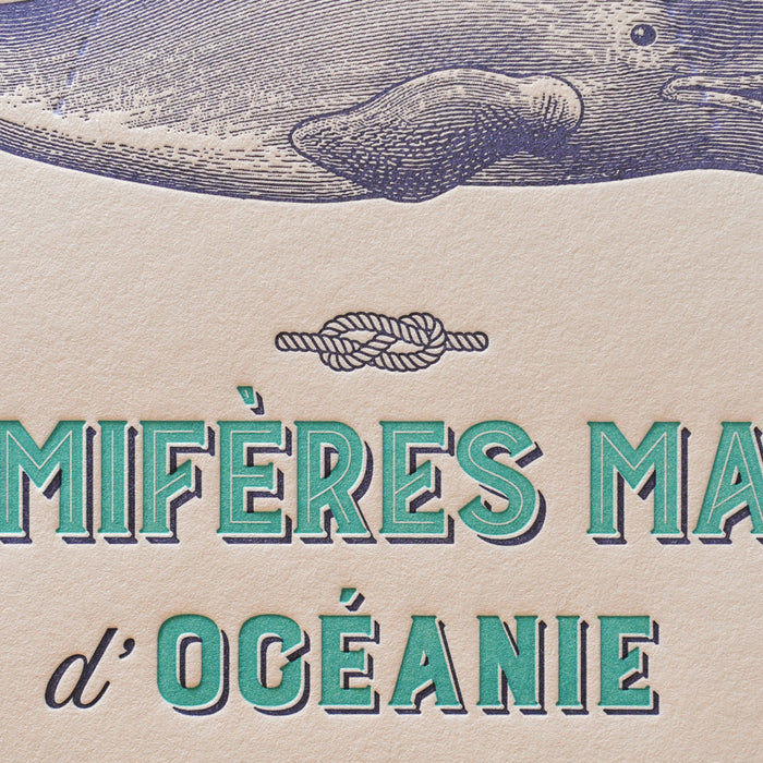 Letterpress Art Print Marine Mammals from Oceania
