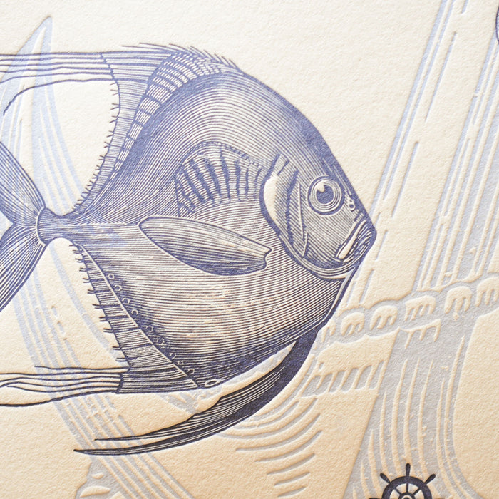 Affiche Letterpress Poissons des Mers du Sud