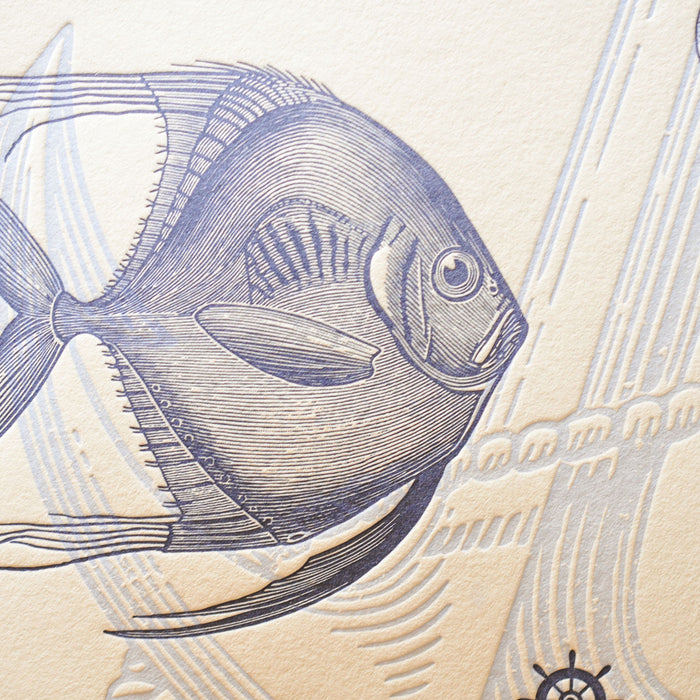 Letterpress Art Print Fish from the Southern Seas