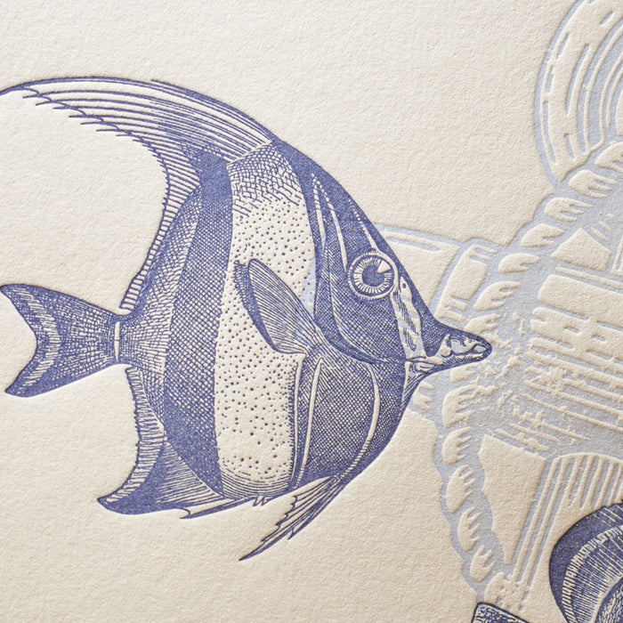 Affiche Letterpress Poissons des Mers du Sud