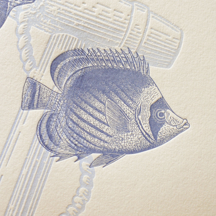 Affiche Letterpress Poissons des Mers du Sud