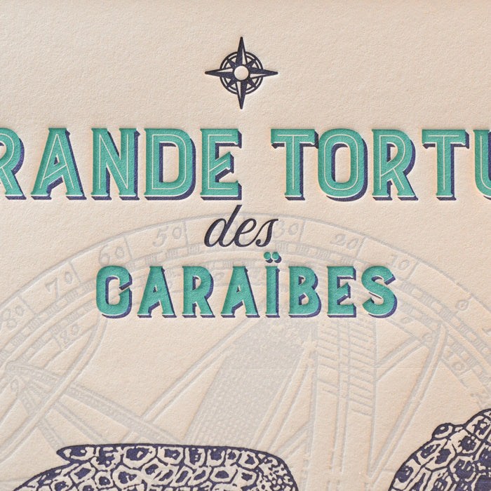 Affiche Letterpress Grande Tortue des Caraïbes