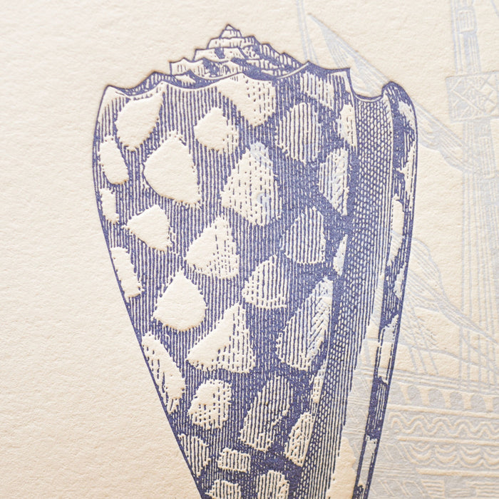 Letterpress Art Print Shells from Overseas Beaches