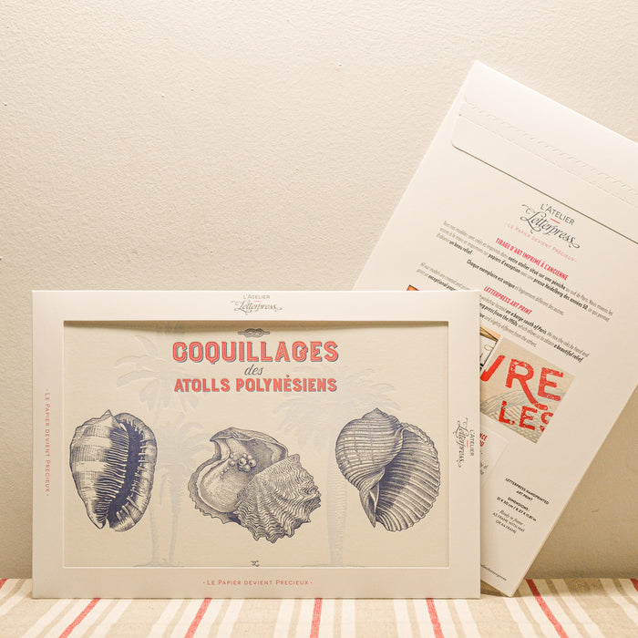 Letterpress Art Print Shells from Polynesian Atolls