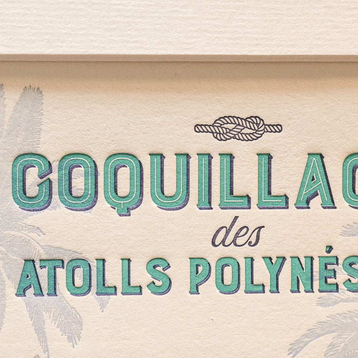 Letterpress Art Print Shells from Polynesian Atolls - Turquoise