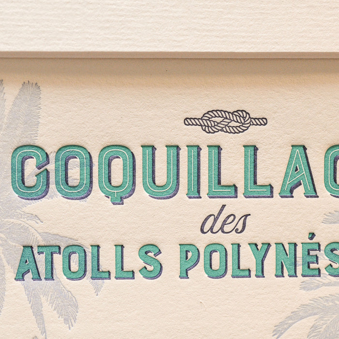 Affiche Letterpress Coquillages des Atolls Polynésiens - Turquoise