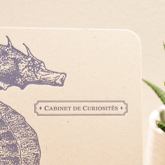 Letterpress Card Seahorse