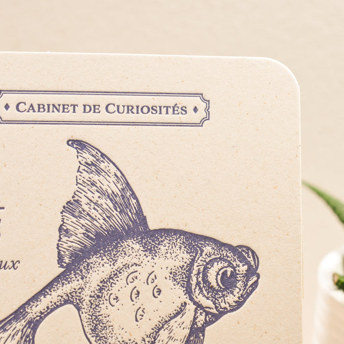 Carte Letterpress Poisson Rouge