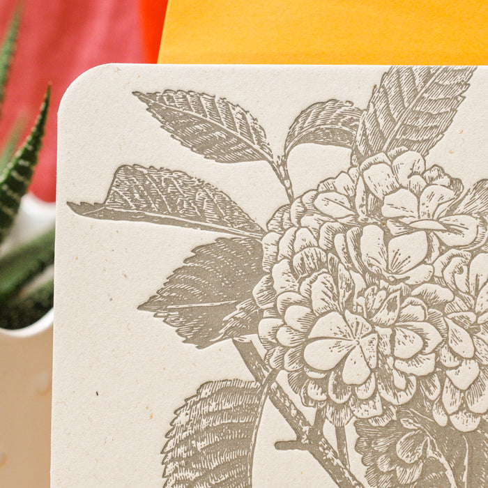 Carte Letterpress Merci Hortensia (avec enveloppe)