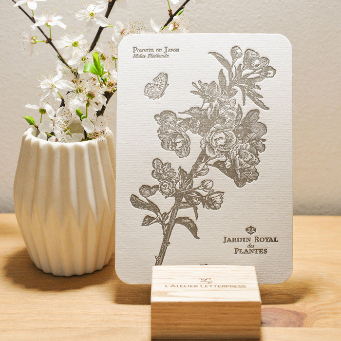 Letterpress Card Japanese Apple Tree