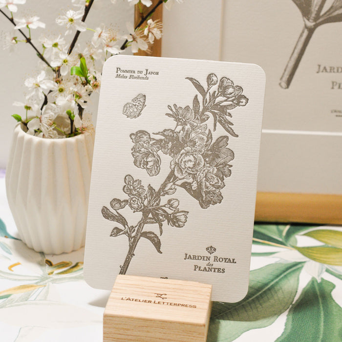 Letterpress Card Japanese Apple Tree