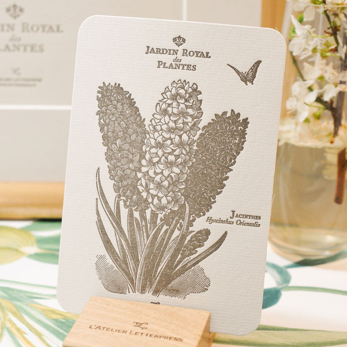 Letterpress Card Hyacinth