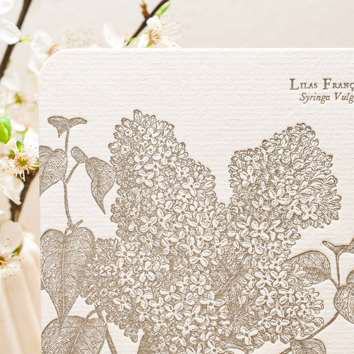 Letterpress Card French Lilac