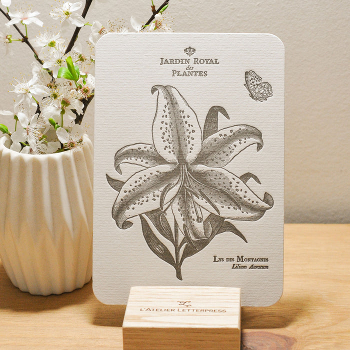 Letterpress Card Mountain Lily