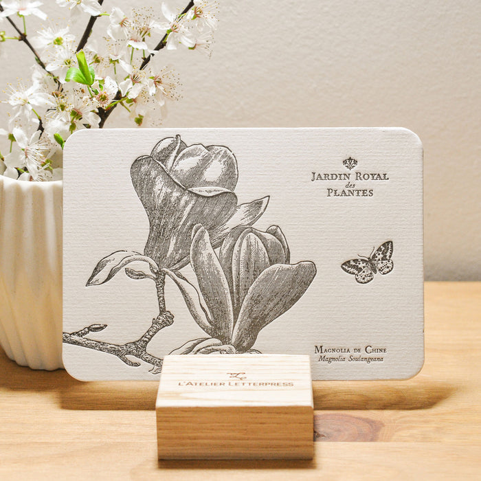 Letterpress Card Chinese Magnolia