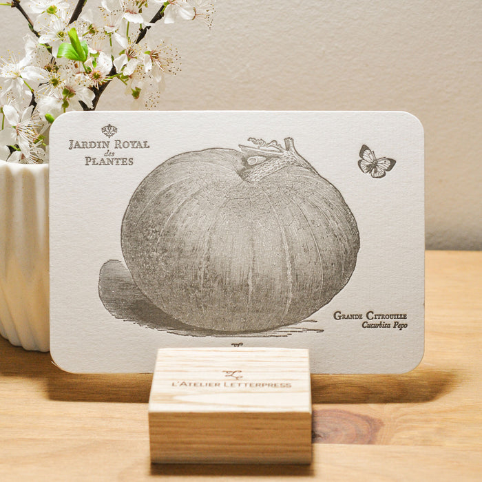 Letterpress Card Large Pumpkin