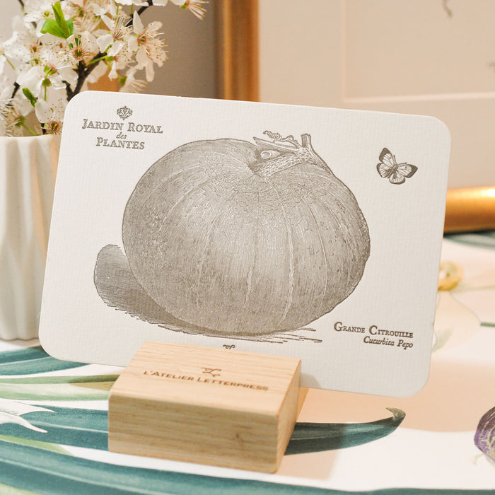 Letterpress Card Large Pumpkin