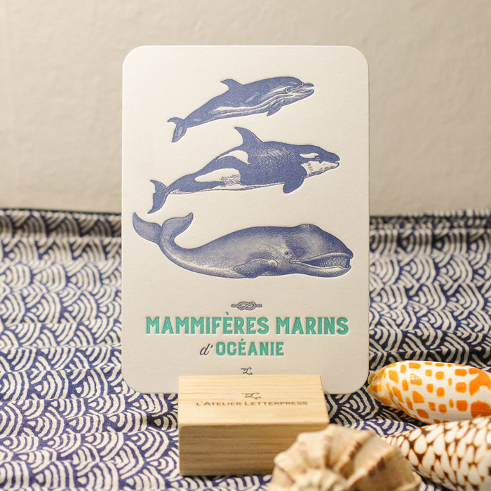 Letterpress Card Marine Mammals from Oceania
