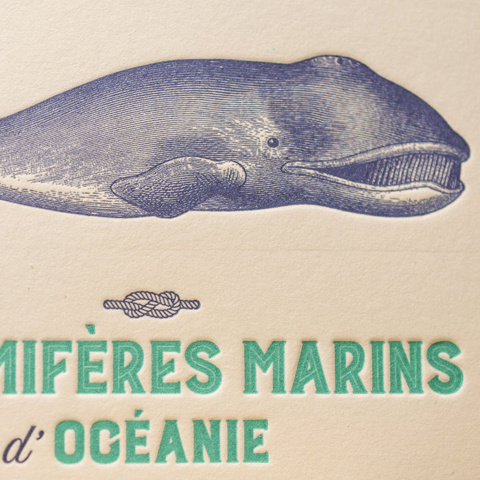 Carte Letterpress Mammifères Marins d'Océanie