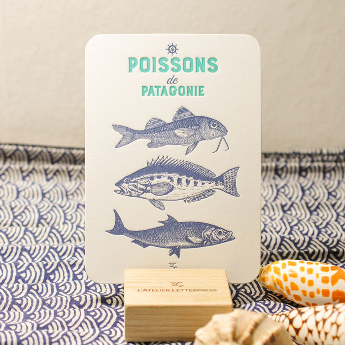 Carte Letterpress Poissons de Patagonie