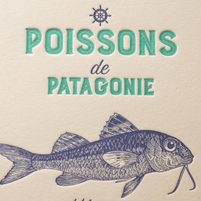 Carte Letterpress Poissons de Patagonie