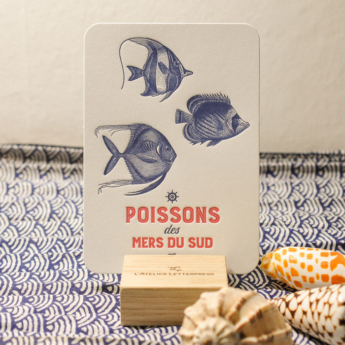 Carte Letterpress Poissons des Mers du Sud