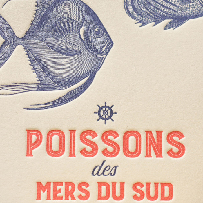 Letterpress Card Fish from the Southern Seas